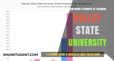 SVSU Student Population: Numbers and Trends