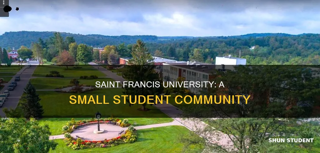 how many students at saint francis university