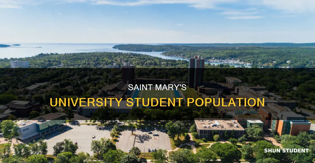 how many students at saint mary