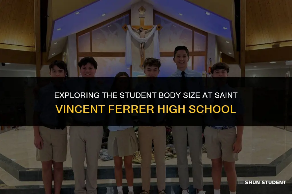 how many students at saint vincent ferrer high school