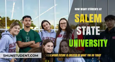 Unveiling the Student Population: A Salem State University Overview