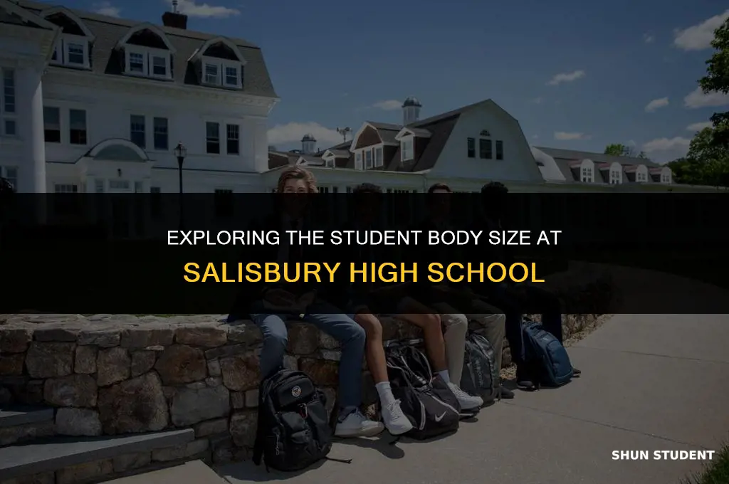 how many students at salisbury high school
