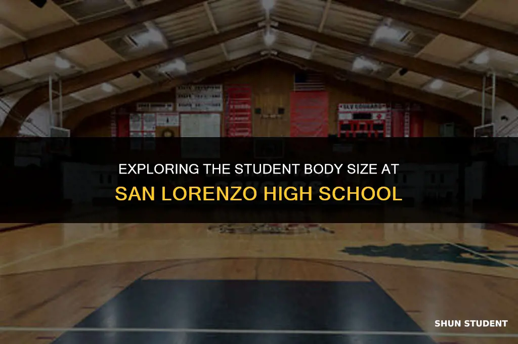 how many students at san lorenzo high school