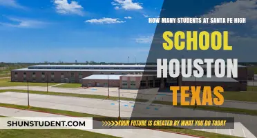 Exploring Student Demographics at Santa Fe High School, Houston