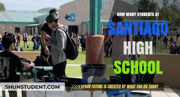 Exploring the Student Body: A Closer Look at Santiago High School