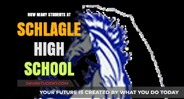 Exploring the Student Body Size at Schlagle High School