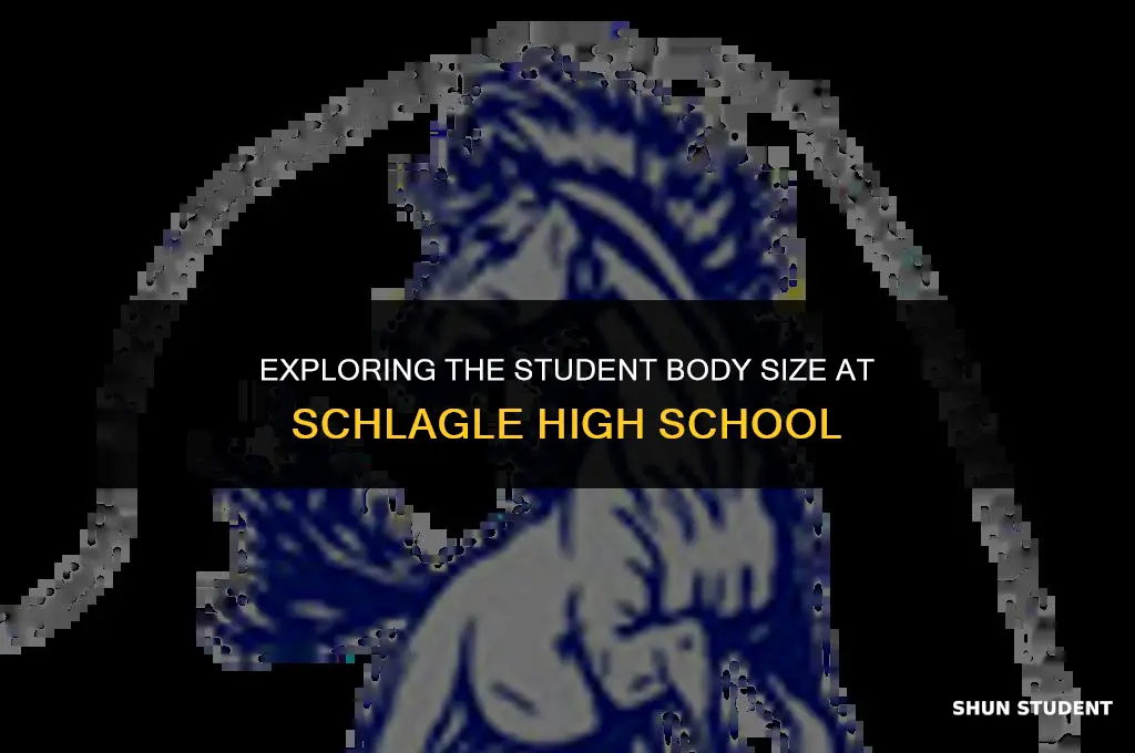 how many students at schlagle high school