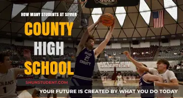 Exploring the Student Body: A Closer Look at Sevier County High School