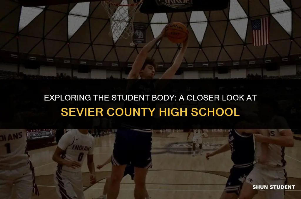 how many students at sevier county high school