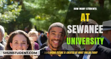 Sewanee University: Unveiling Student Population Insights