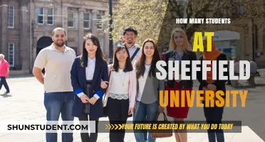 Sheffield University's Student Population: A Comprehensive Overview