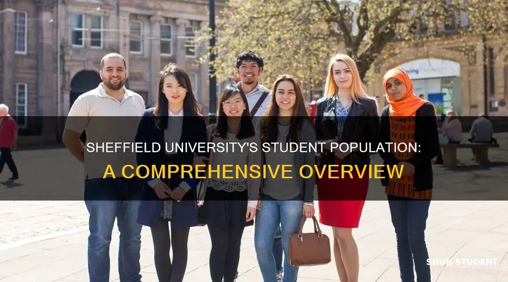 how many students at sheffield university