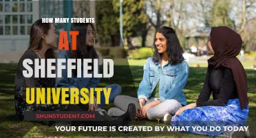 Exploring Sheffield University: Student Population and Campus Life