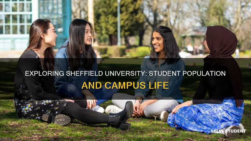 how many students at sheffield university