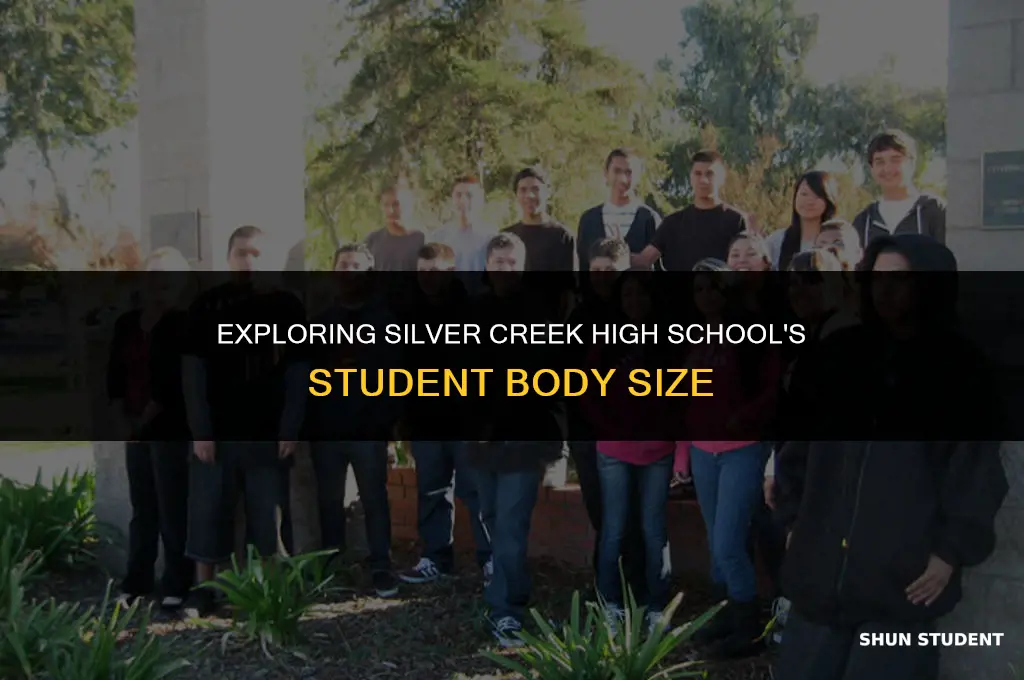 how many students at silver creek high school