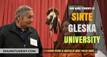 Sinte Gleska University: Unveiling Student Population Insights