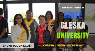 University Student Population: Sinte Gleska University
