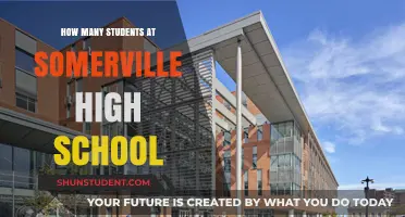 Exploring Somerville High School's Student Body: A Comprehensive Overview
