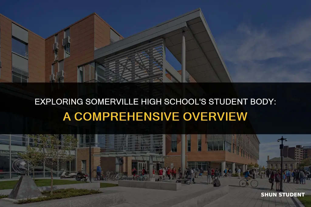 how many students at somerville high school