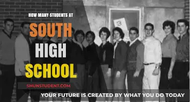 Exploring the Student Body: A Closer Look at South High School