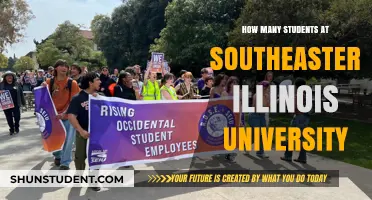 Southeast Illinois University Student Population: A Comprehensive Overview