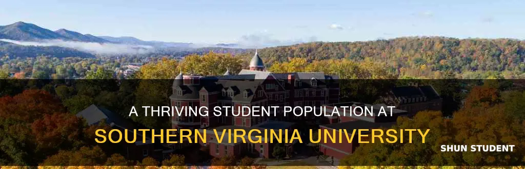 how many students at southern virginia university