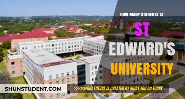 St. Edward's University Student Population: A Comprehensive Overview