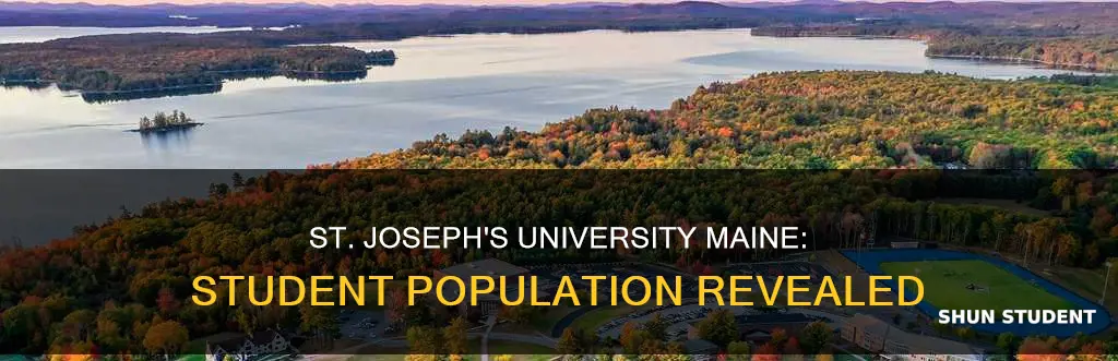 how many students at st jospehs university maine