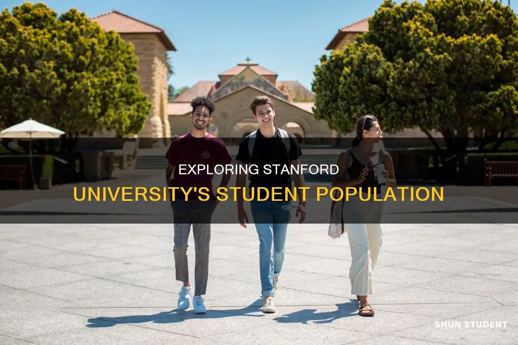 how many students at stanford university