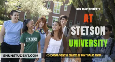 Stetson University: A Small Student Body, Big Opportunities