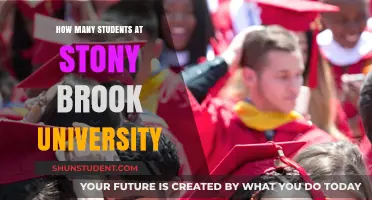 Stony Brook University: Unveiling Student Population Insights