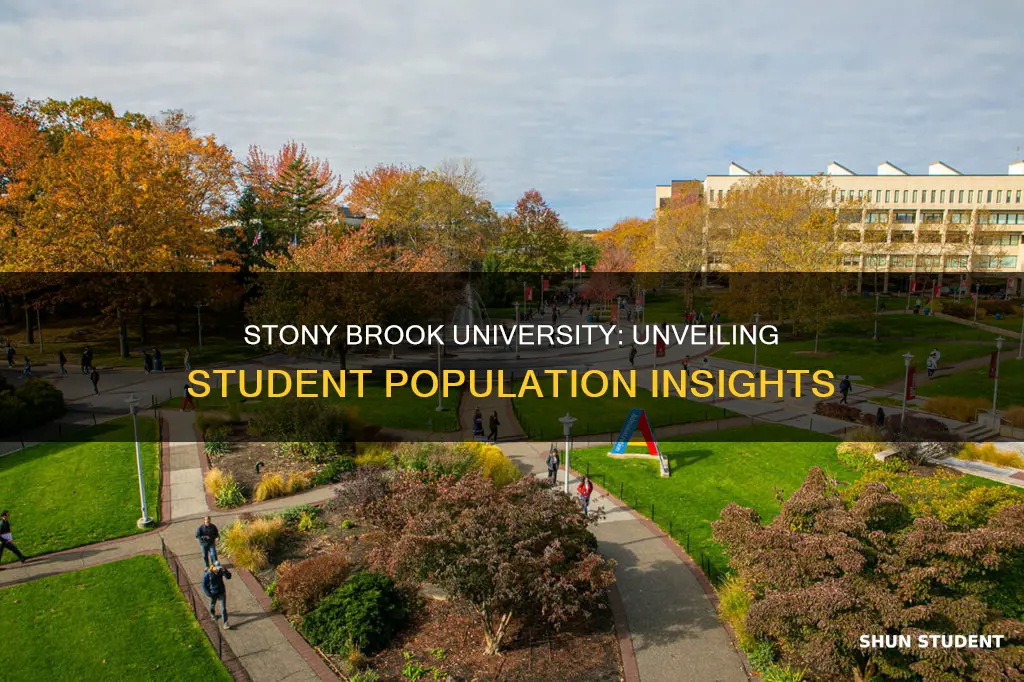 how many students at stony brook university