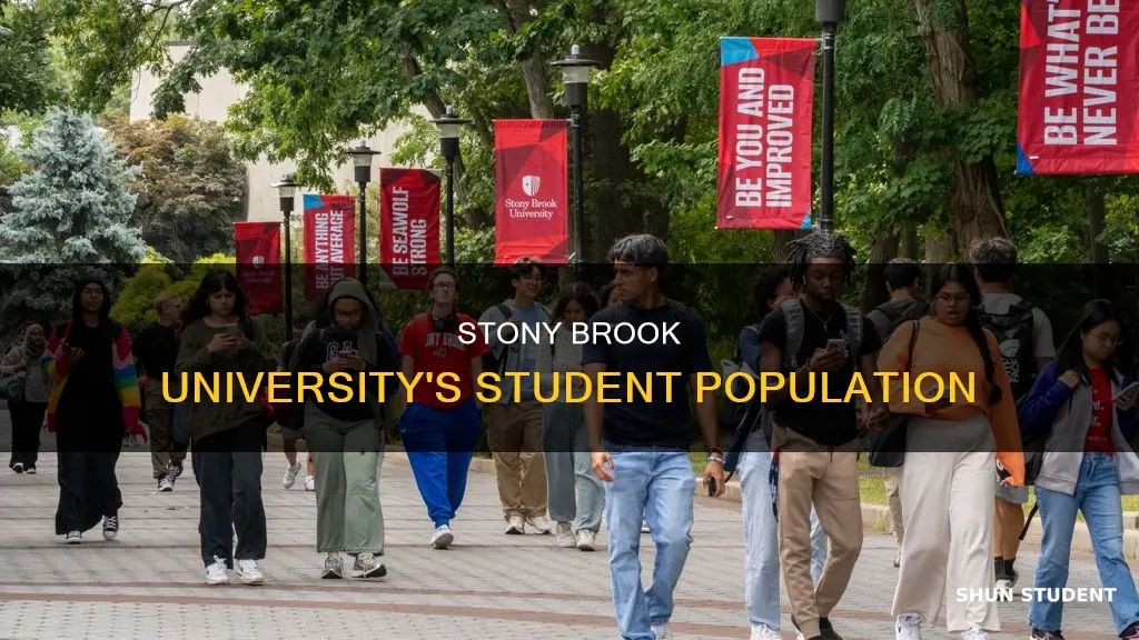 how many students at stony brook university