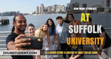 Suffolk University's Student Population: A Comprehensive Overview