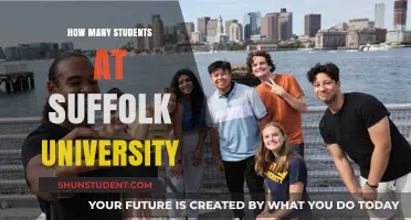 Discover the Student Population at Suffolk University