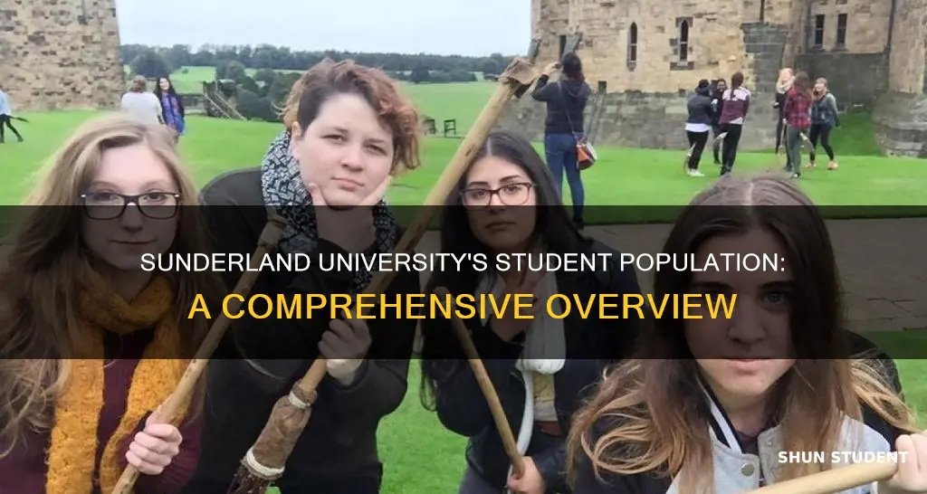 how many students at sunderland university