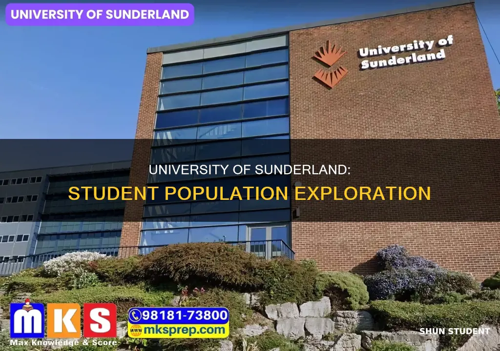 how many students at sunderland university