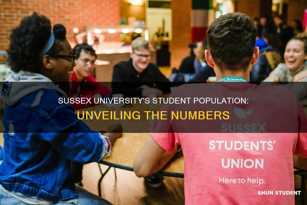 how many students at sussex university