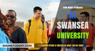 Unveiling Swansea University's Student Population: A Comprehensive Overview