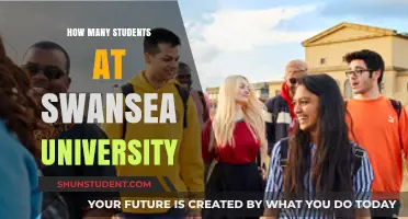 Swansea University: A Thriving Student Community