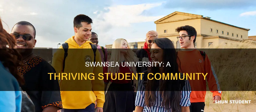 how many students at swansea university