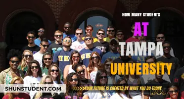 Tampa University's Student Population: A Comprehensive Overview