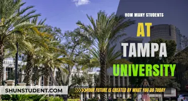 Exploring Tampa University's Student Population