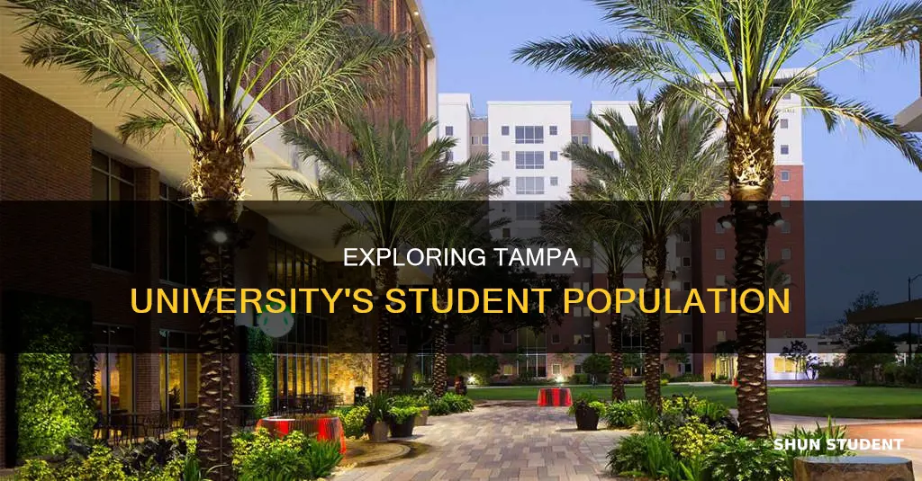 how many students at tampa university