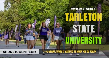 Tarleton State University: Unveiling Student Population Insights