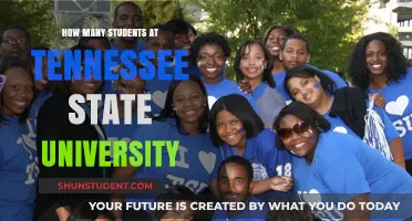 Tennessee State University: Unveiling Student Population Insights