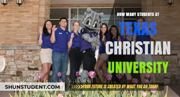 Texas Christian University: Unveiling Student Population Insights