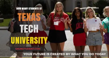 Texas Tech Student Population: A Comprehensive Overview