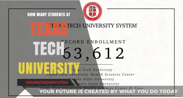 Discover Texas Tech University's Student Population