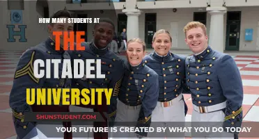 The Citadel University: Student Population Insights